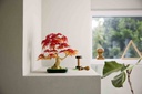 LEGO BOTANICAL COLLECION | Bonsái de Arce Rojo Japonés - 10348