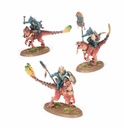 Warhammer Age of Sigmar: Seraphon LANCEROS DE AGRADÓN 88-18