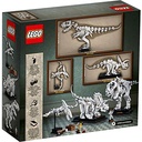 Lego Ideas Fosiles de dinosaurio  21320