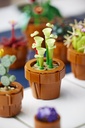 LEGO ICONS | Plantas Diminutas 10329