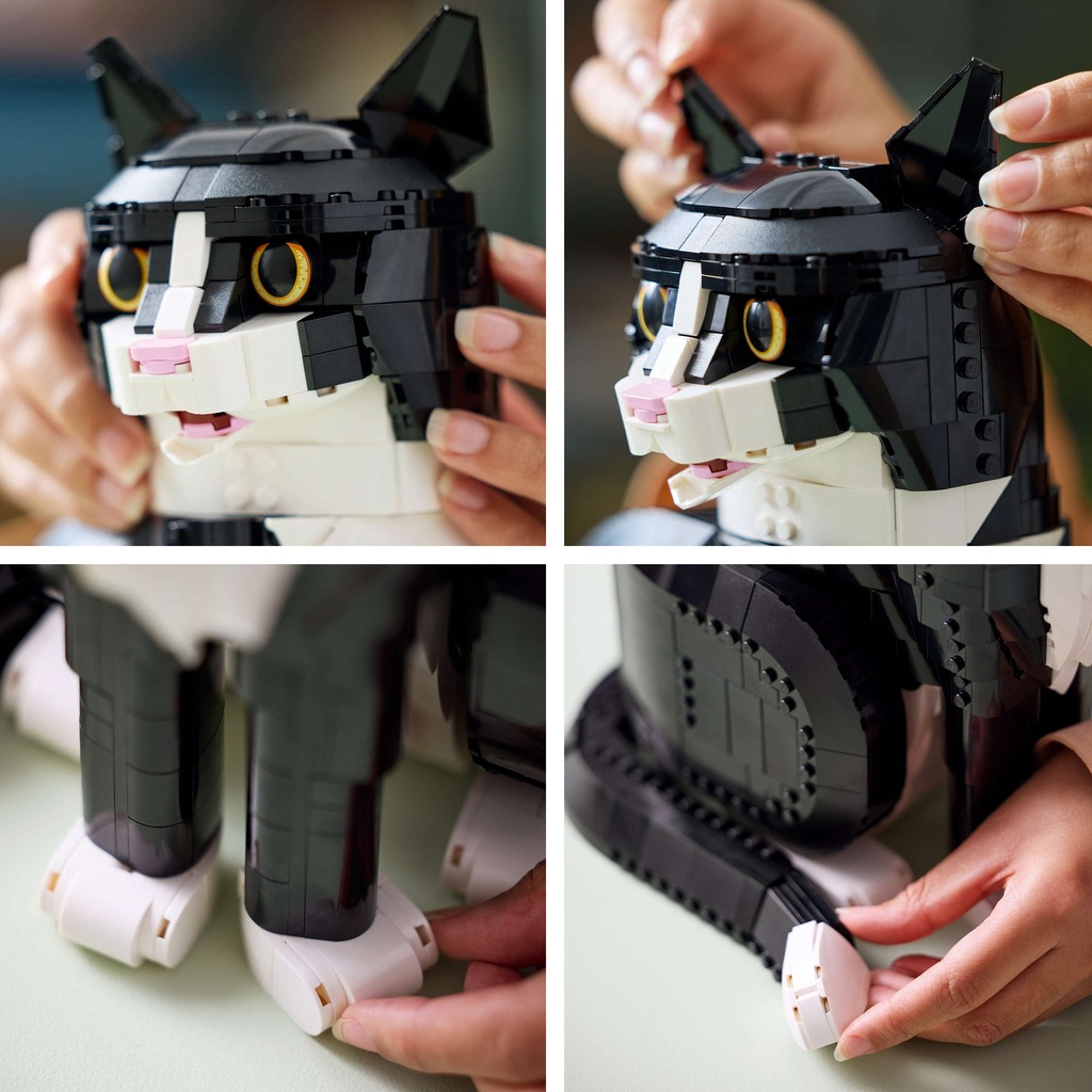 LEGO IDEAS | Gato Bicolor - 21349