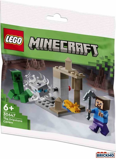 [30647]  Lego Minecraft 