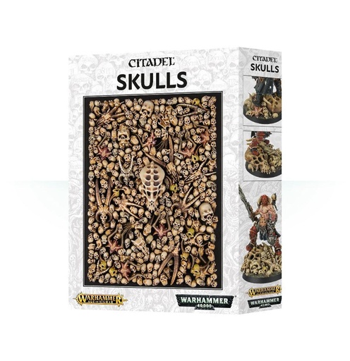 [64-29] Citadel Skulls 64-29